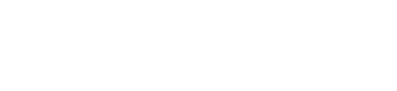Databorn